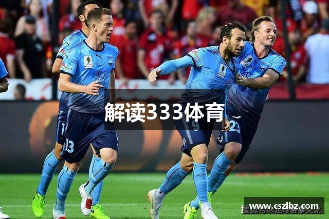 解读333体育